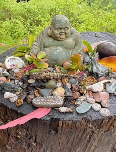 buddha statue with rocks and plants surrounding it