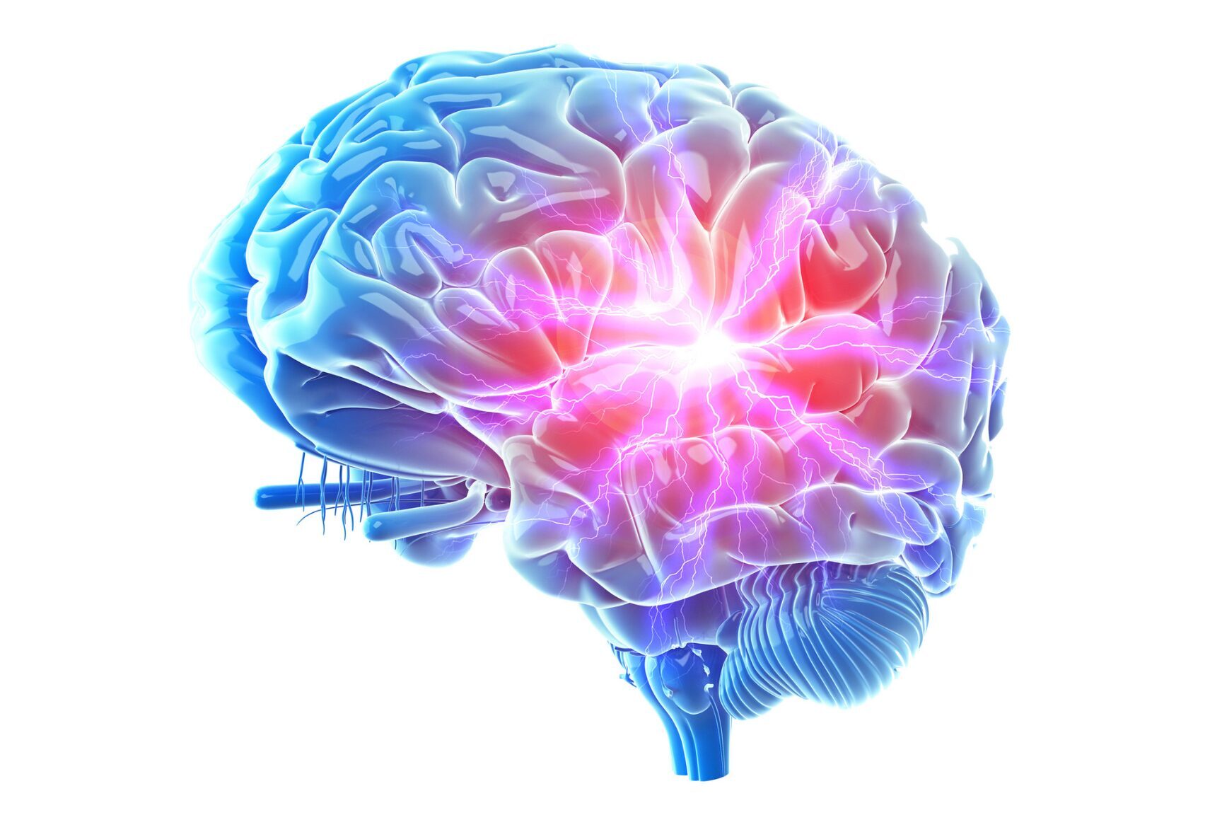 SonderBeaut blue and purple brain