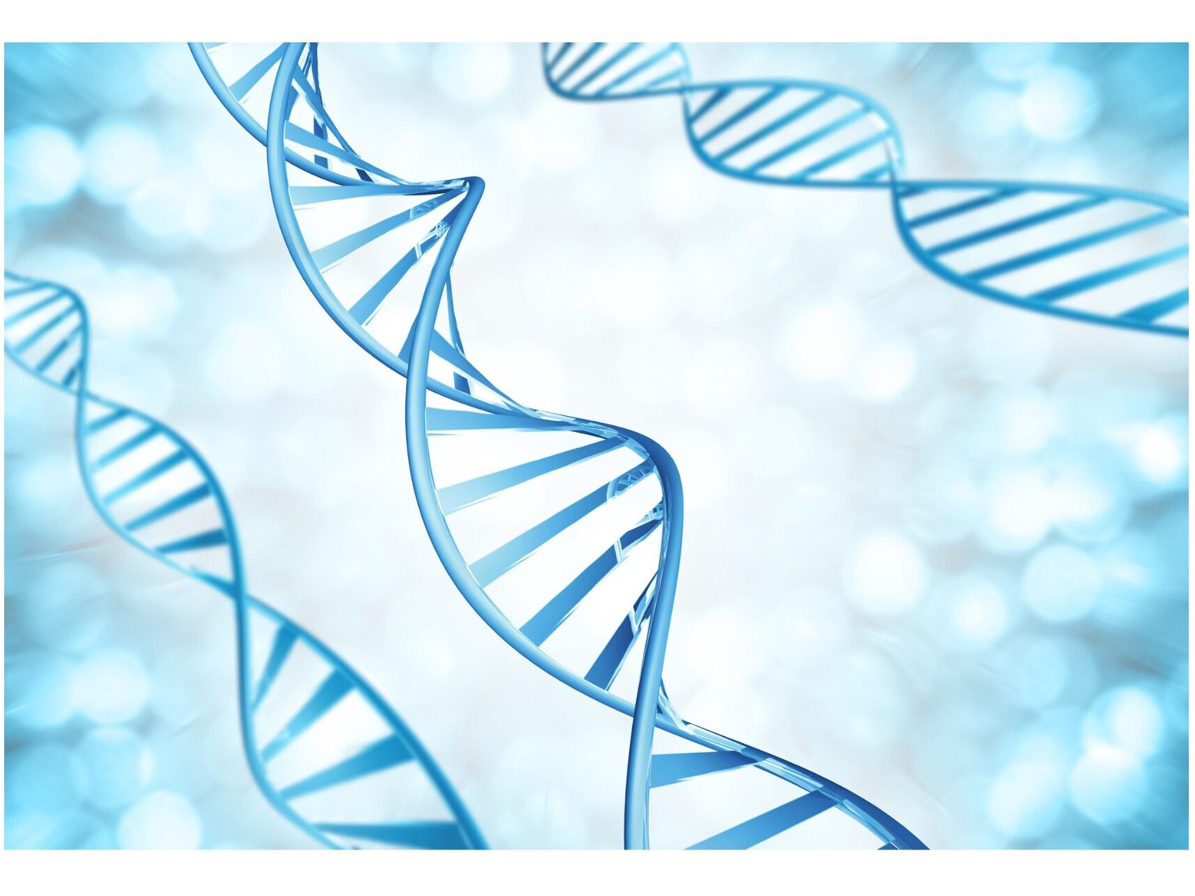 SonderBeaut DNA strands